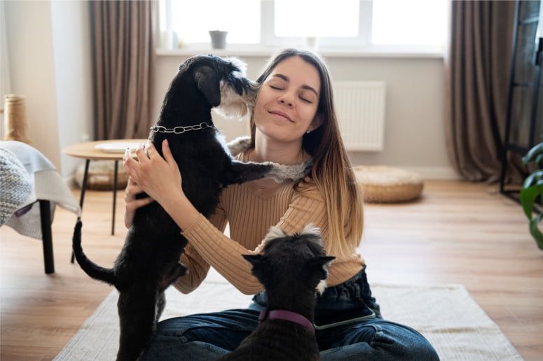 Regalos personalizados para amantes de los animales